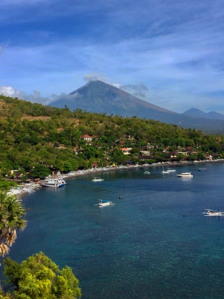amed bali